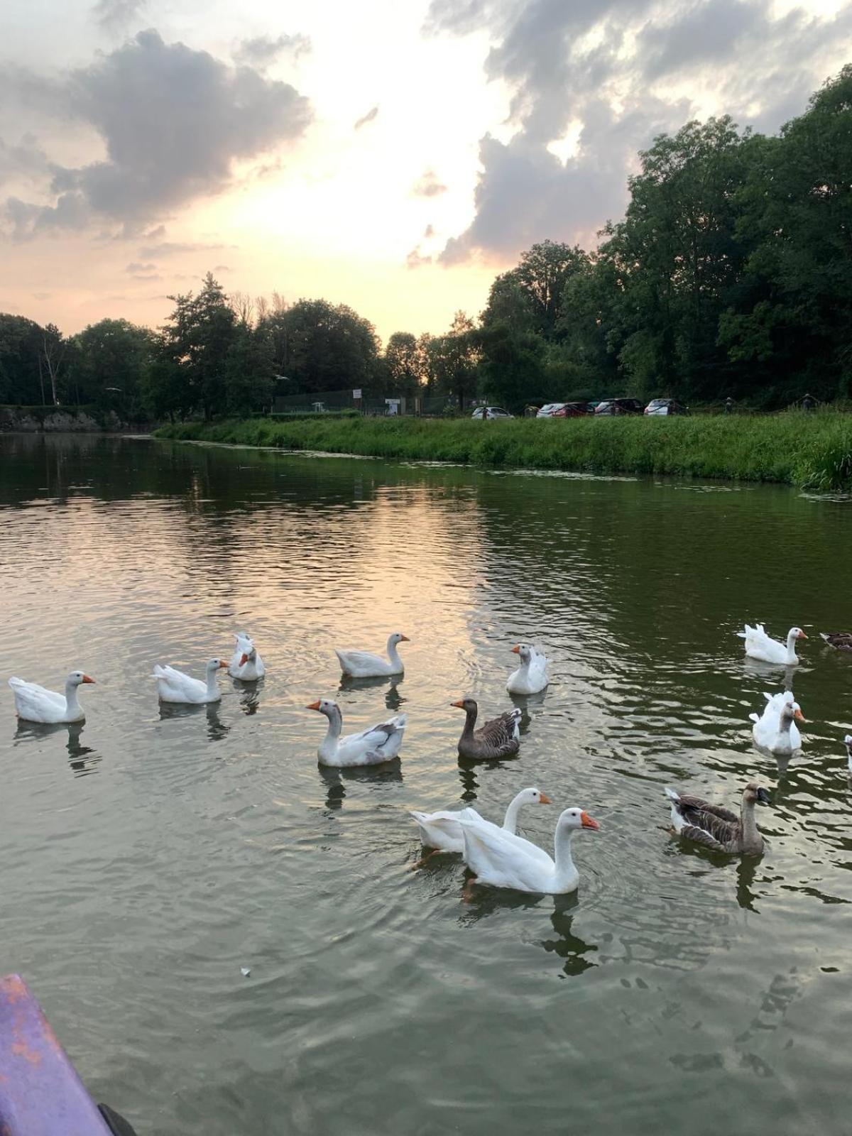 Nuit Insolite A Bord D'Une Peniche, 6 Personnes Bergues Exterior foto